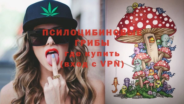 прущие крисы Белоозёрский