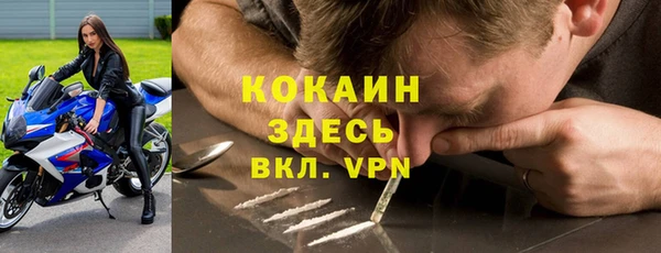крисы Белокуриха